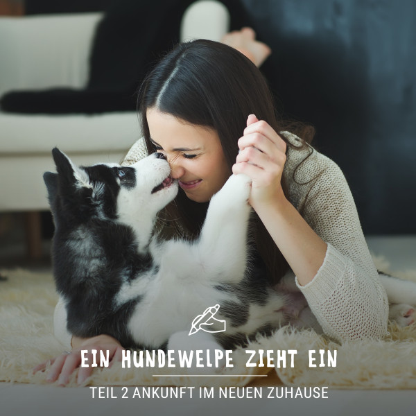 Vorschaubild_ein-hundewelpe-zieht-ein_teil2