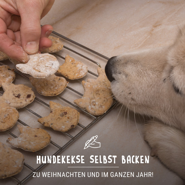 Hundekekse-selbst-backen-zu-Weihnachten-und-im-ganzen-Jahr