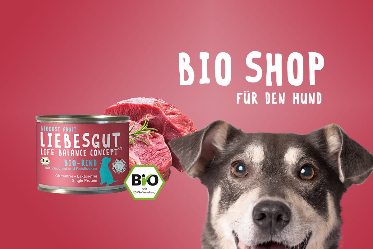 Bio Hund Und Katzenfutter Shop Liebesgut Tiernahrung